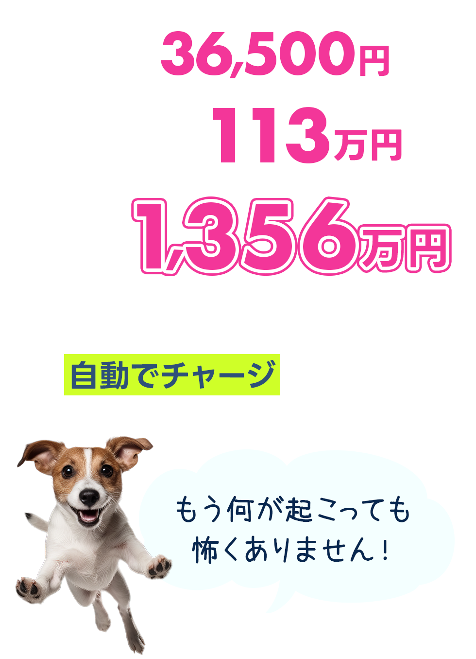 1年で1356万円